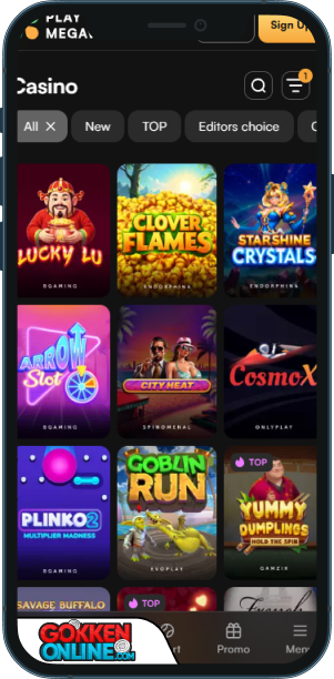 PlayMegawin Casino Mobiele app