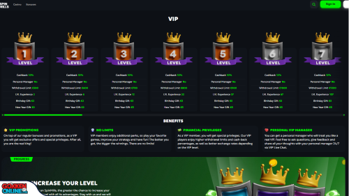 SpinMills Casino vip programma