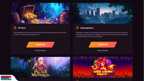 RonyCasino vip programma