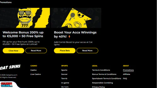 CatSpins Casino bonus