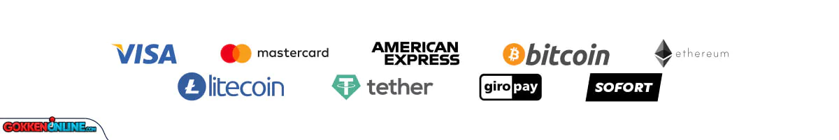 Wildzy Casino opnames